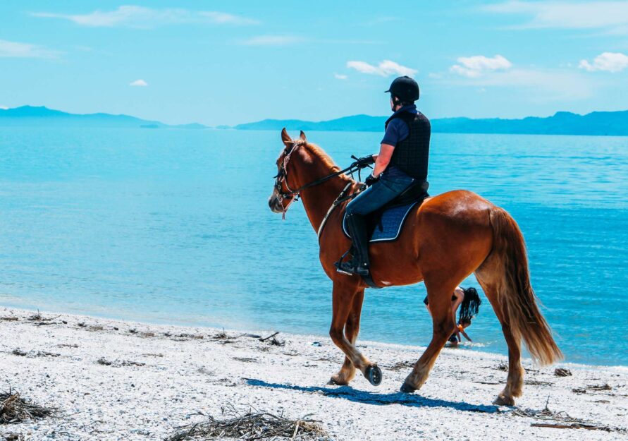 Horse Riding