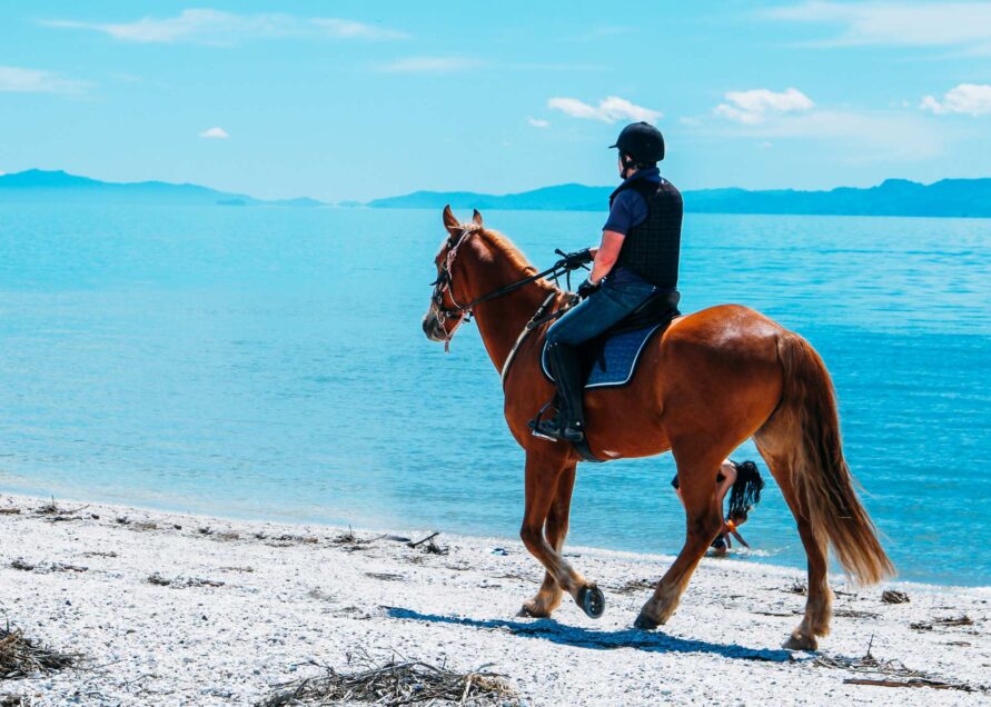 horse_riding